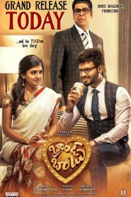 Brand Babu 2018 Hindi ORG 1080p 720p 480p WEB-DL x264