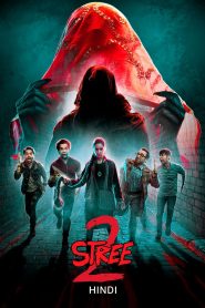 Stree 2 Sarkate Ka Aatank (2024) Hindi AMZN WEB-DL H264 AAC 2160p 1080p 720p 480p ESub