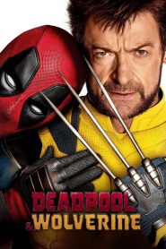 Deadpool And Wolverine (2024) Dual Audio [Hindi Cleaned-English] AMZN WEB-DL H264 AAC 2160p 1080p 720p 480p ESub